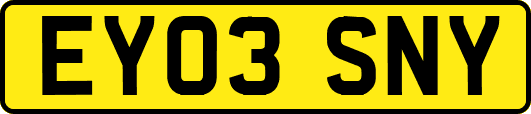 EY03SNY