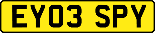 EY03SPY