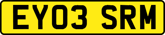 EY03SRM