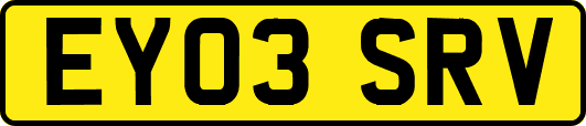 EY03SRV