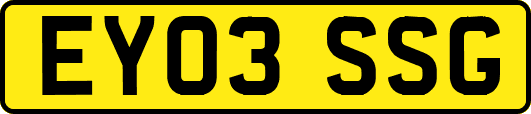 EY03SSG