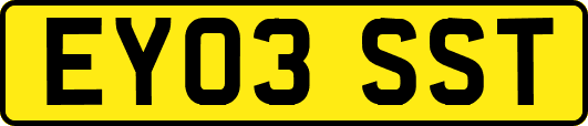 EY03SST