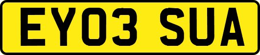 EY03SUA