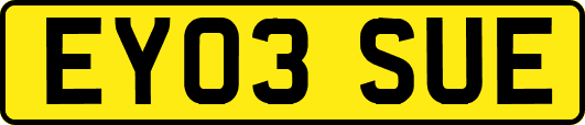 EY03SUE