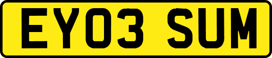 EY03SUM