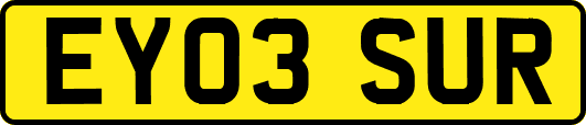 EY03SUR