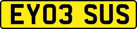 EY03SUS