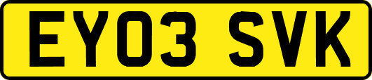 EY03SVK