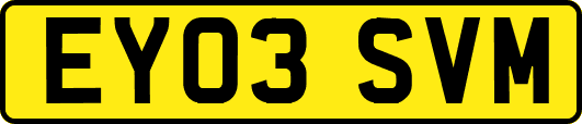 EY03SVM