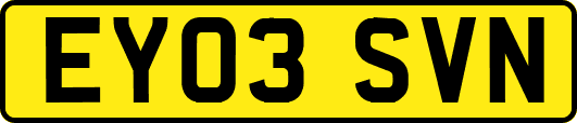 EY03SVN