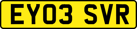 EY03SVR