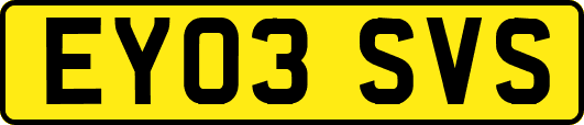 EY03SVS