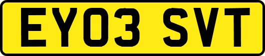 EY03SVT