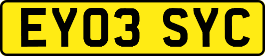 EY03SYC
