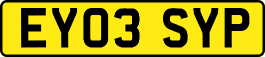 EY03SYP