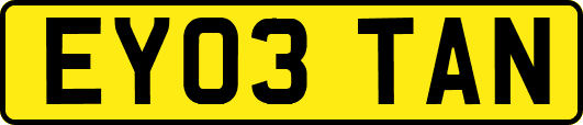 EY03TAN