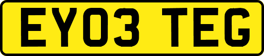 EY03TEG