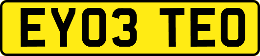 EY03TEO