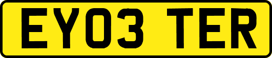 EY03TER