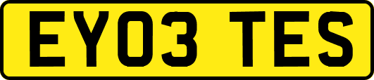 EY03TES