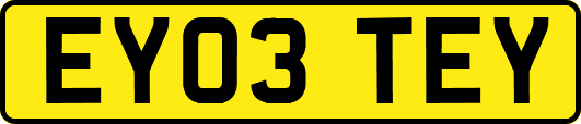 EY03TEY