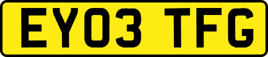 EY03TFG