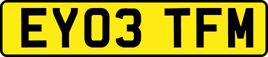 EY03TFM