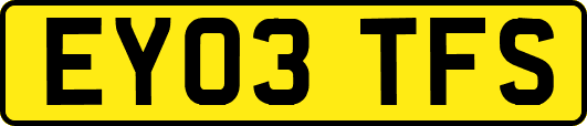 EY03TFS