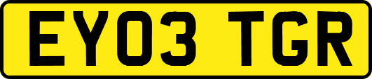EY03TGR
