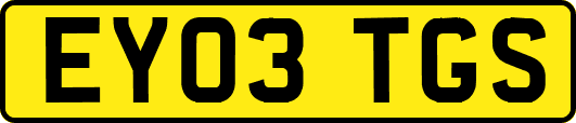 EY03TGS