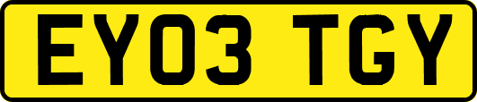 EY03TGY