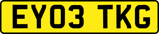 EY03TKG