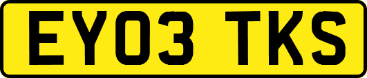 EY03TKS
