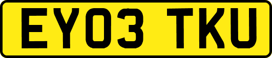 EY03TKU
