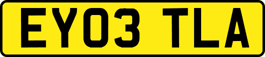 EY03TLA