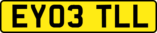 EY03TLL
