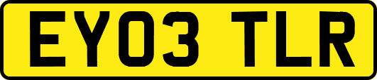 EY03TLR