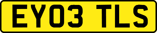 EY03TLS