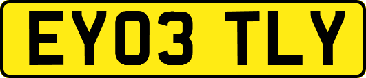 EY03TLY