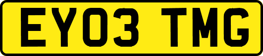 EY03TMG
