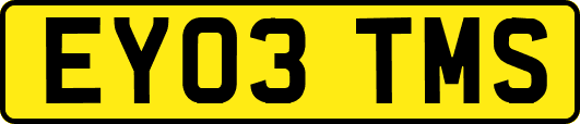 EY03TMS