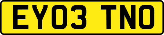 EY03TNO