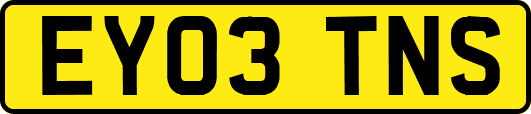 EY03TNS