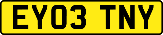 EY03TNY