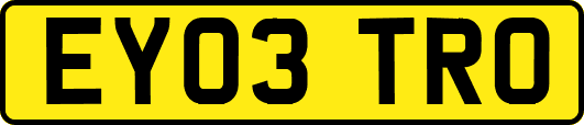 EY03TRO