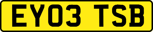 EY03TSB
