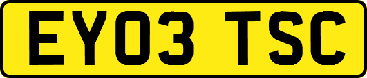 EY03TSC