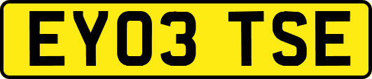 EY03TSE