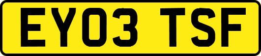 EY03TSF