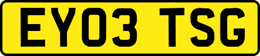 EY03TSG